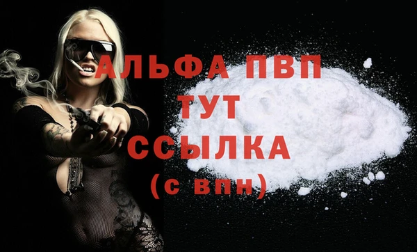 ешки Богданович