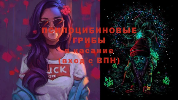 бутират Богородицк