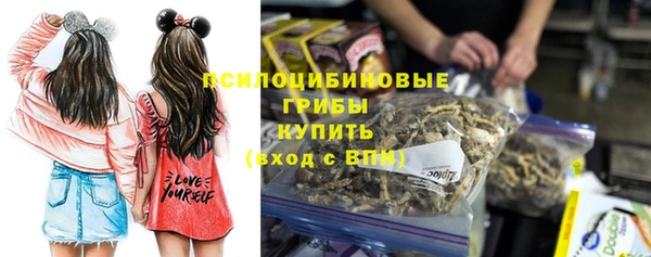 бутират Богородицк